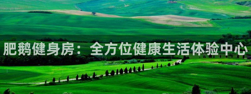 意昂4官网
